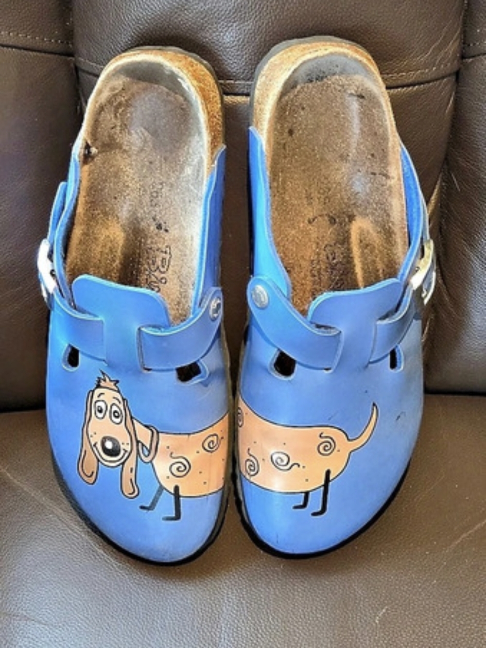 Birkenstock Boston Blue Dog Clogs
